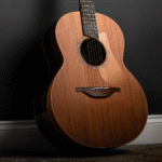 Enhance Your Sound with the Power of Thermally Modified Soundboards
