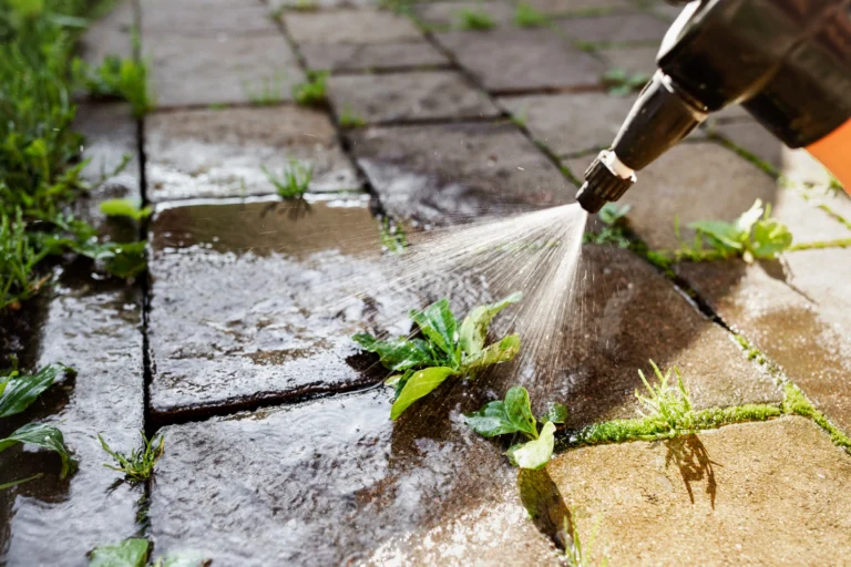 weed control company in Red Deer
